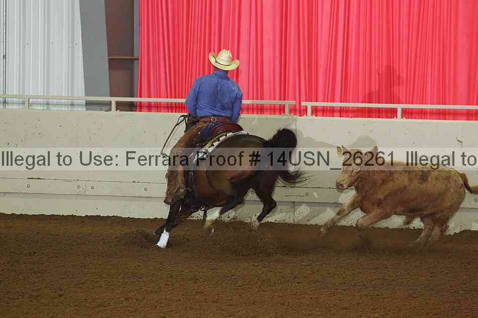 Proof 14usn_26261