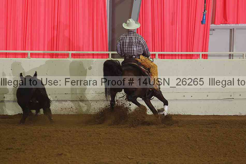 Proof 14usn_26265