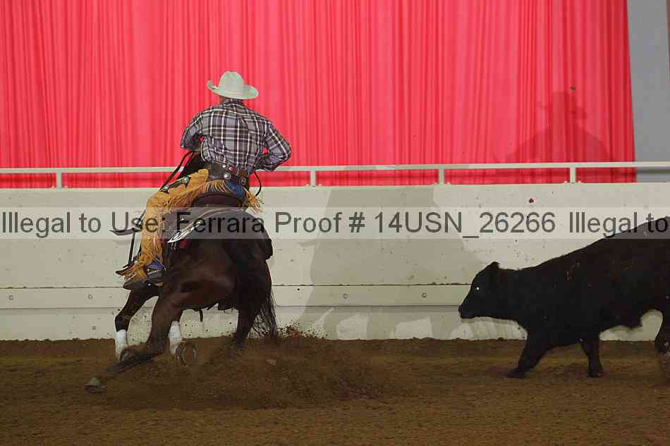 Proof 14usn_26266