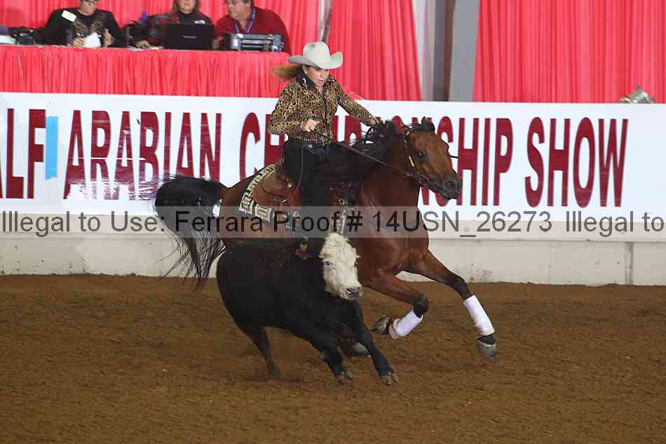 Proof 14usn_26273