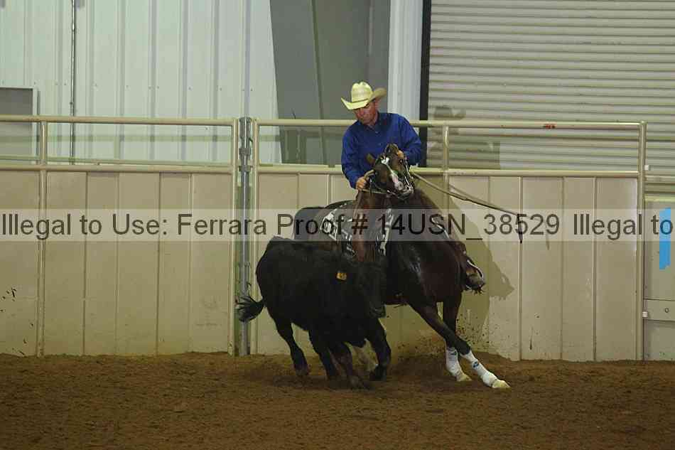 Proof 14usn_38529