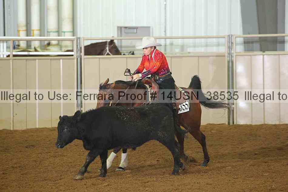 Proof 14usn_38535