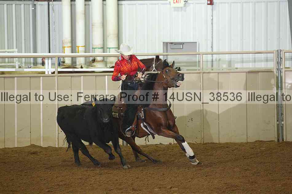 Proof 14usn_38536