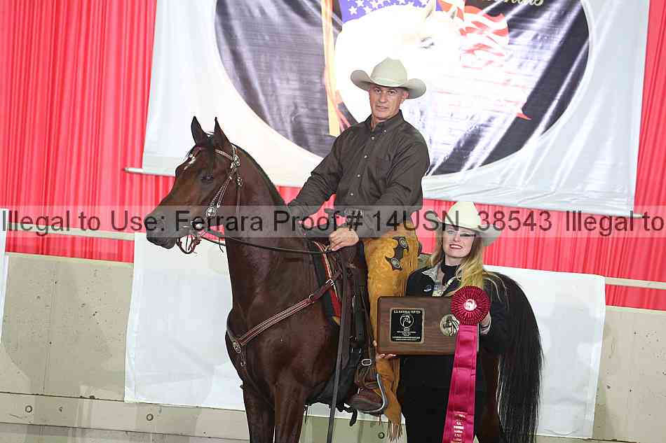 Proof 14usn_38543
