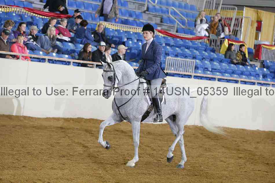Proof 14usn_05359