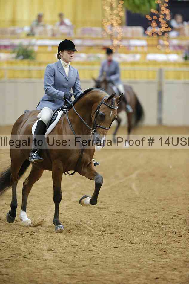 Proof 14usn_05374