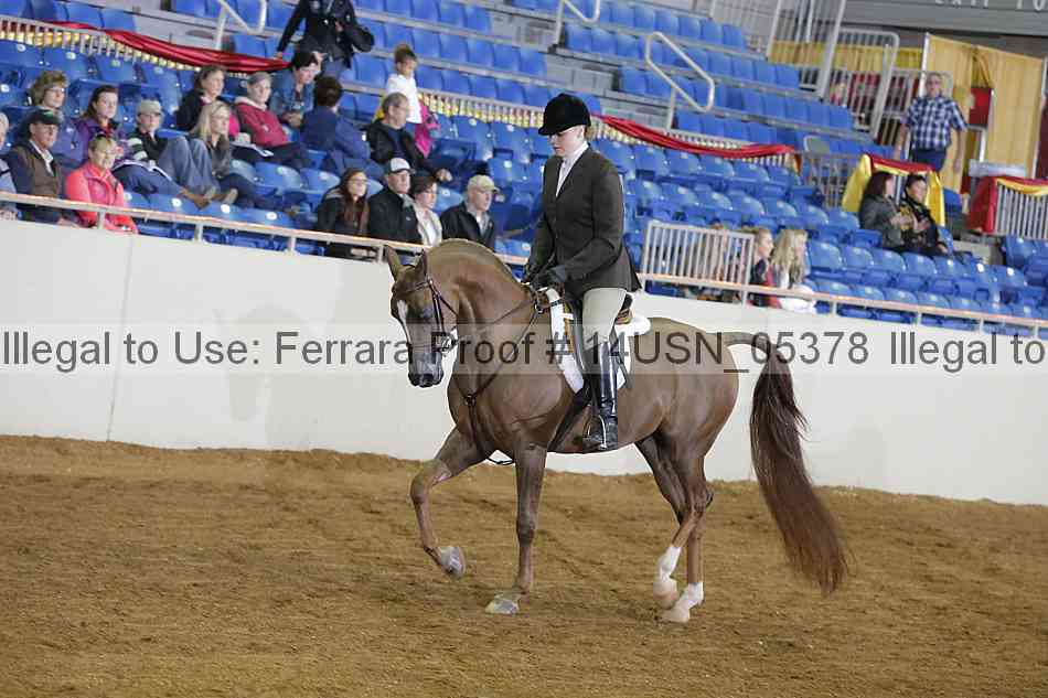 Proof 14usn_05378