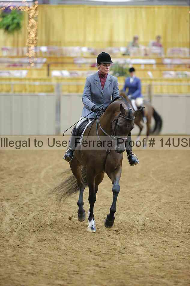 Proof 14usn_05379