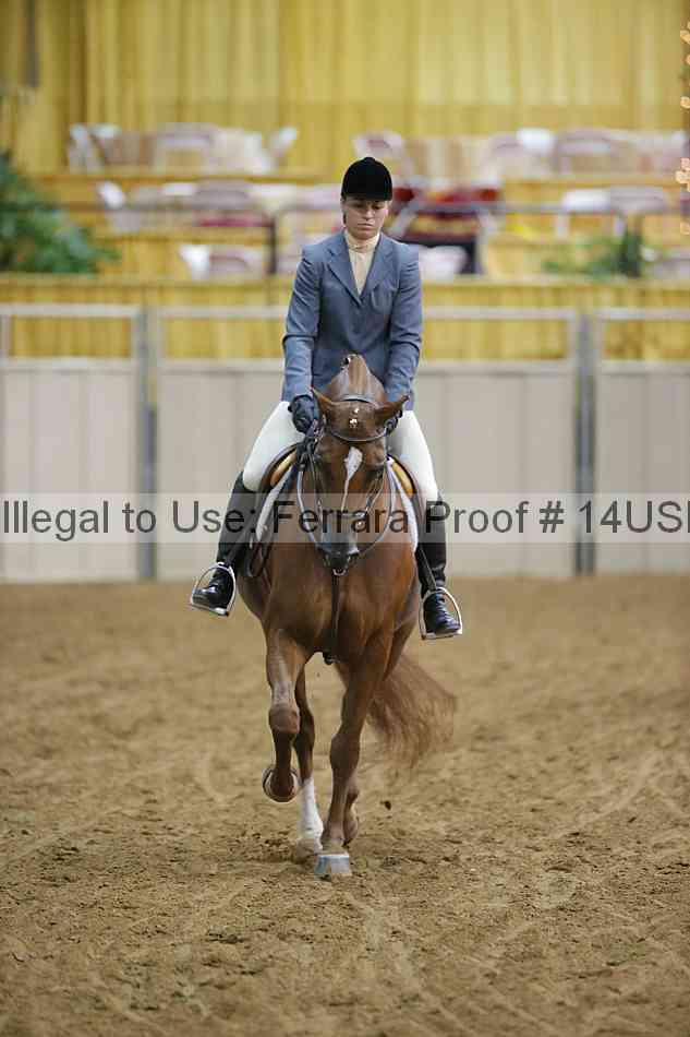 Proof 14usn_05382