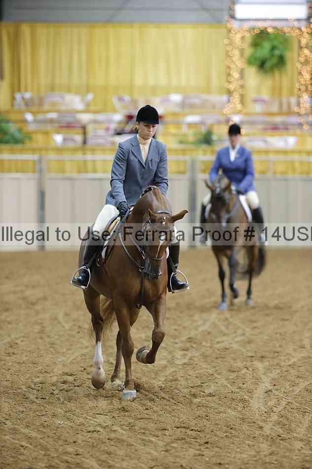 Proof 14usn_05383