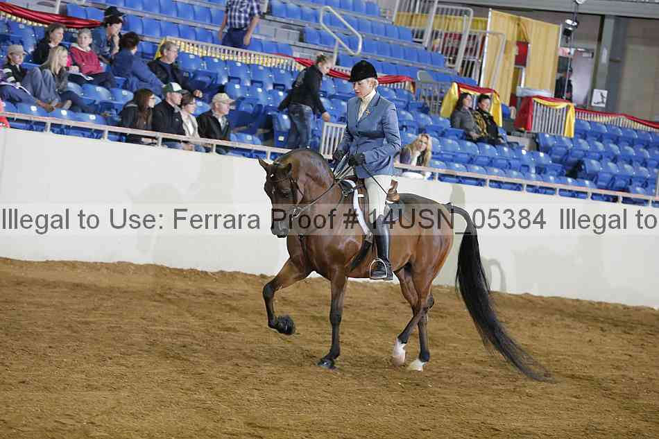 Proof 14usn_05384