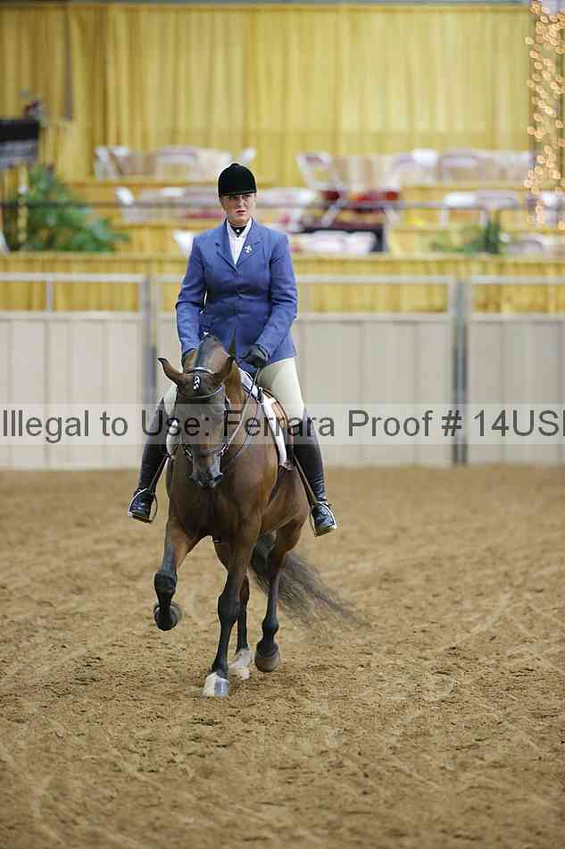 Proof 14usn_05385