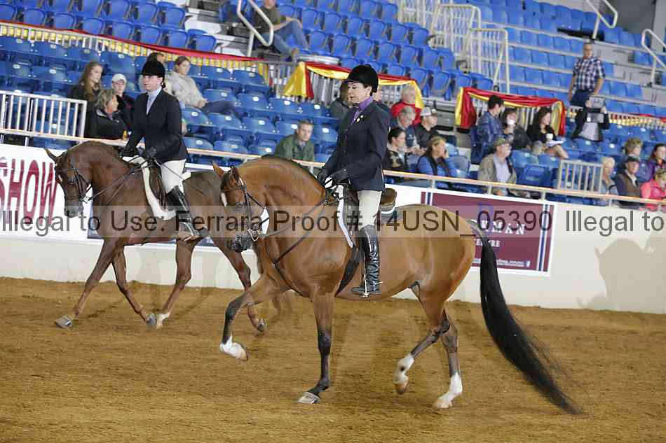 Proof 14usn_05390