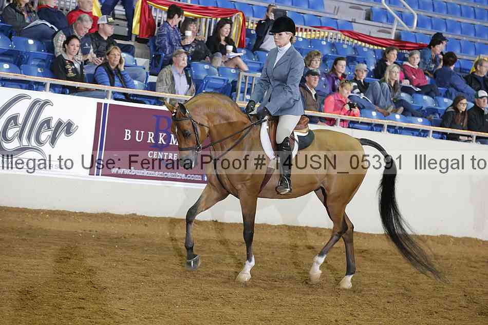 Proof 14usn_05391