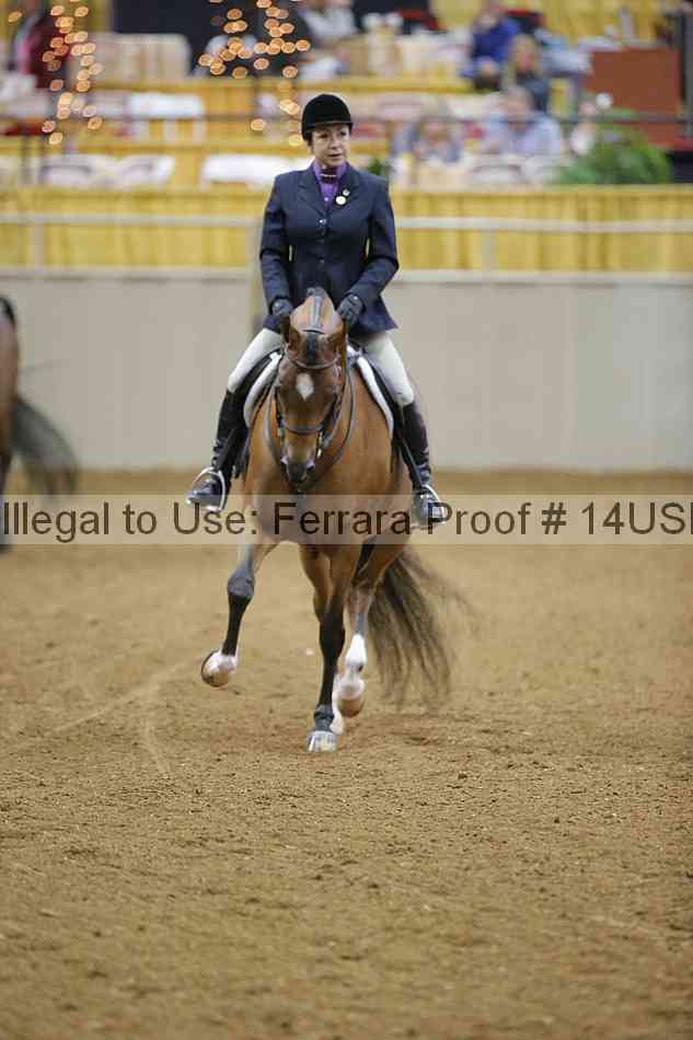 Proof 14usn_05395