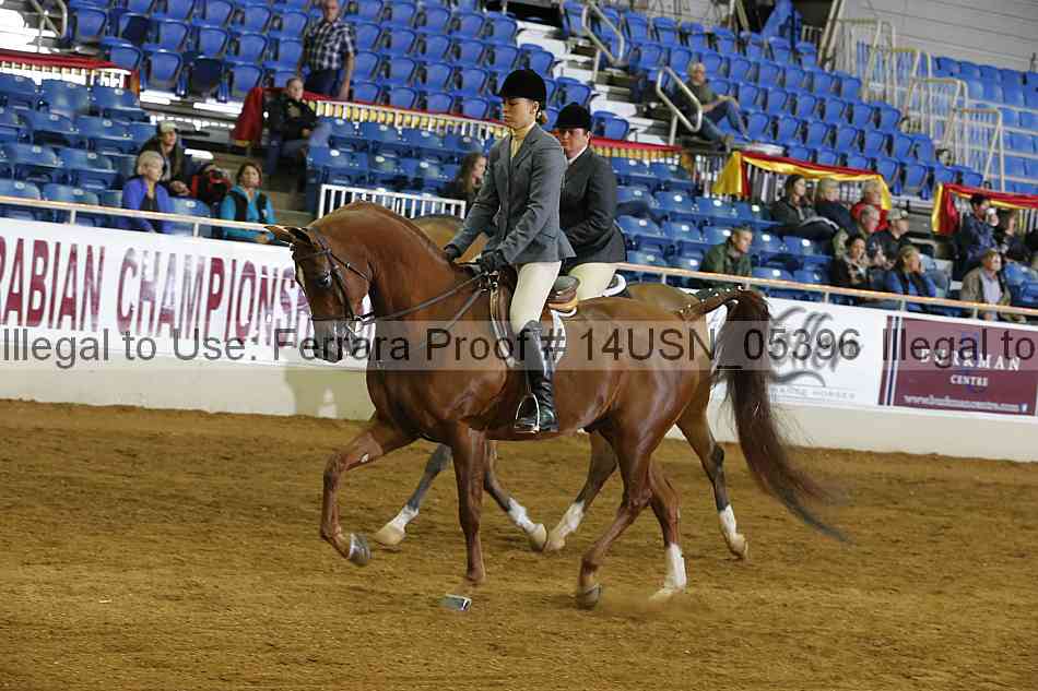 Proof 14usn_05396