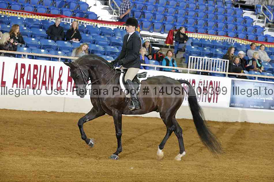 Proof 14usn_05399