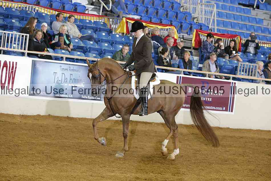 Proof 14usn_05405