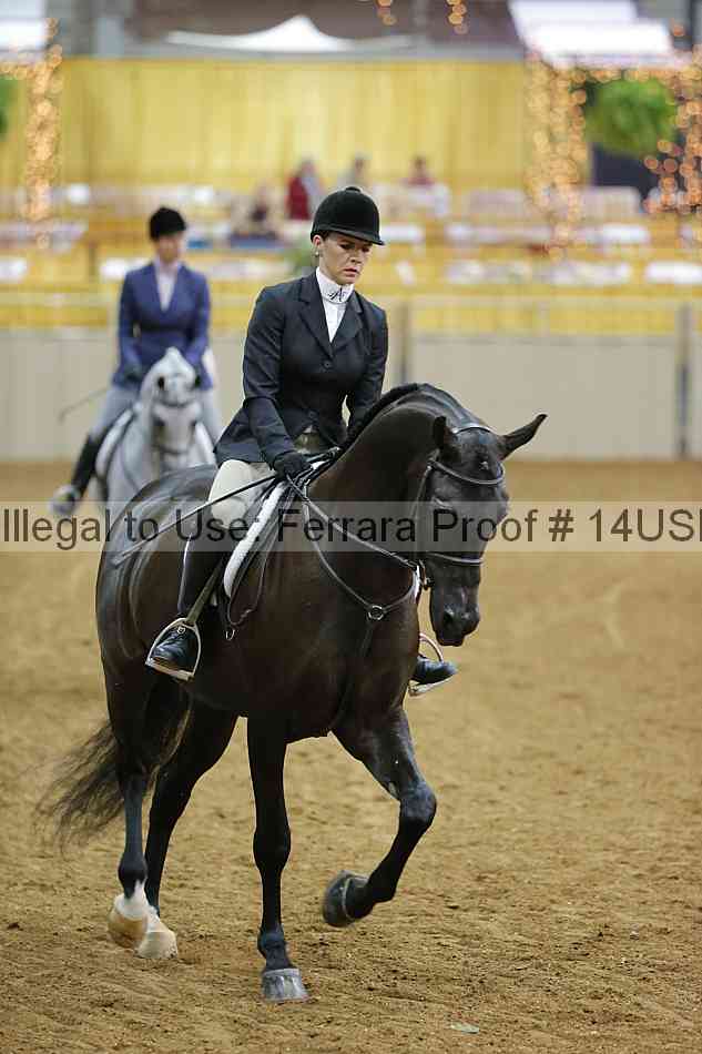 Proof 14usn_05406