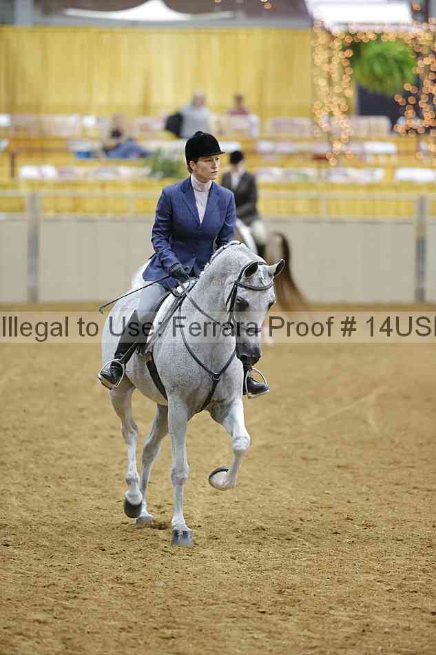 Proof 14usn_05408