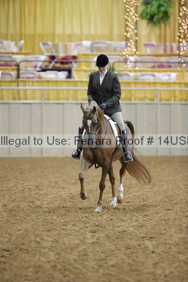 Proof 14usn_05411
