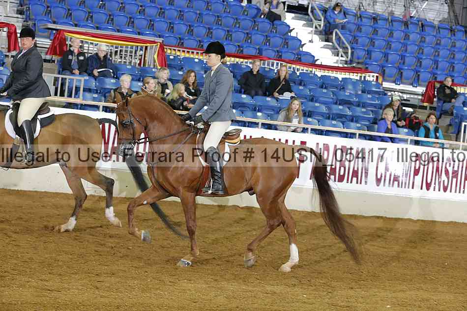 Proof 14usn_05417