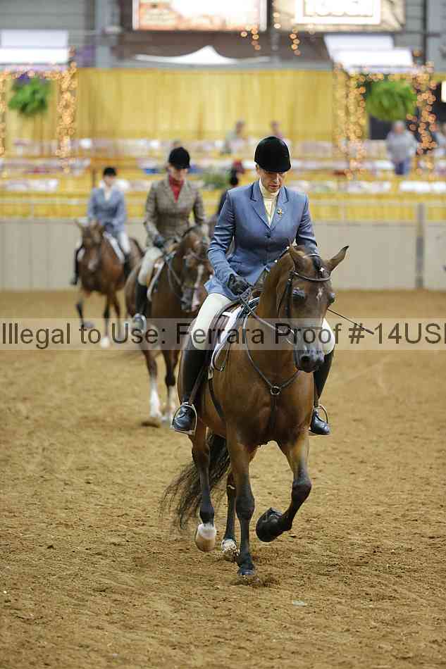 Proof 14usn_05418