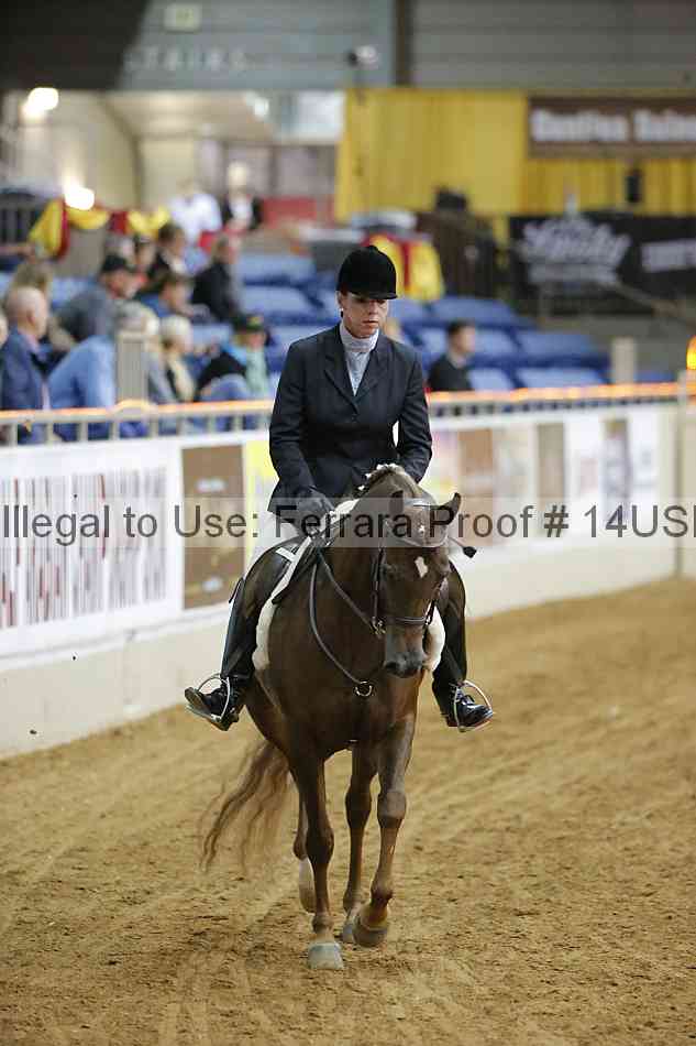 Proof 14usn_05427