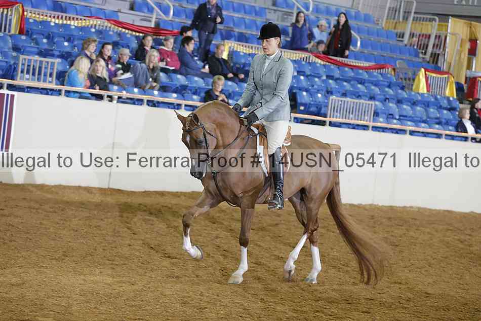 Proof 14usn_05471