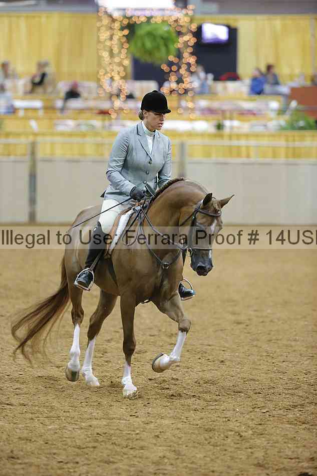 Proof 14usn_05479
