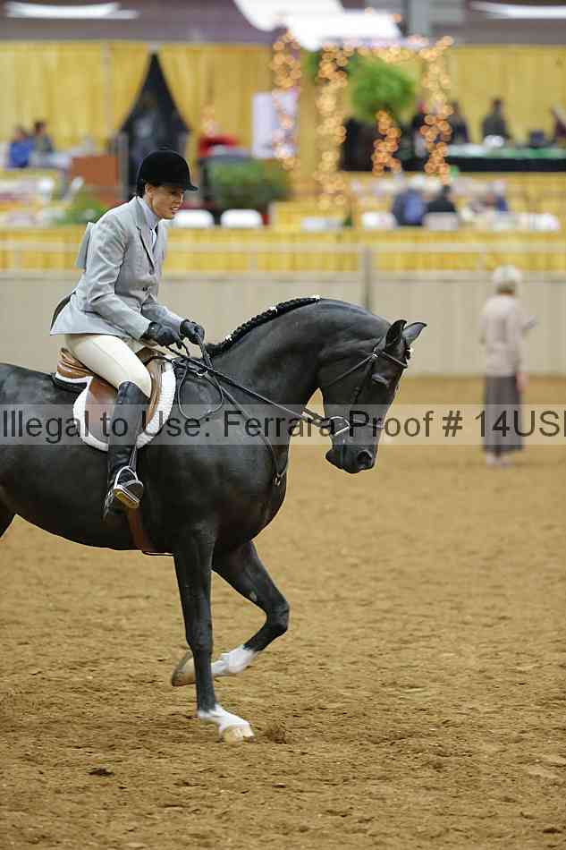 Proof 14usn_05488