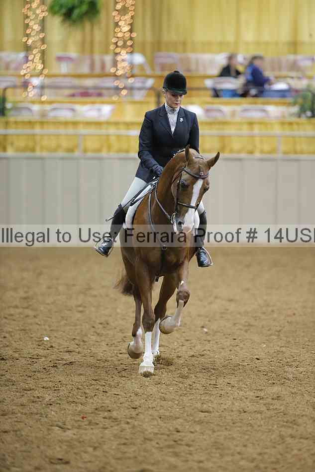 Proof 14usn_05490