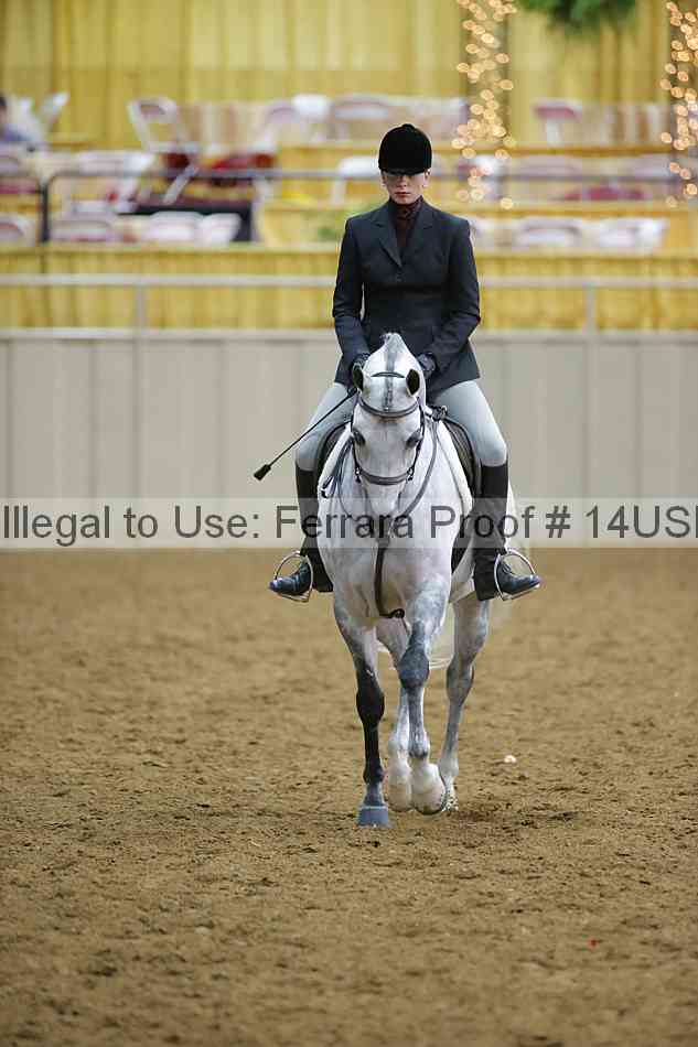 Proof 14usn_05496