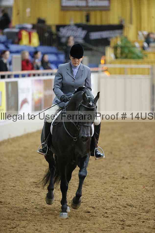 Proof 14usn_05510