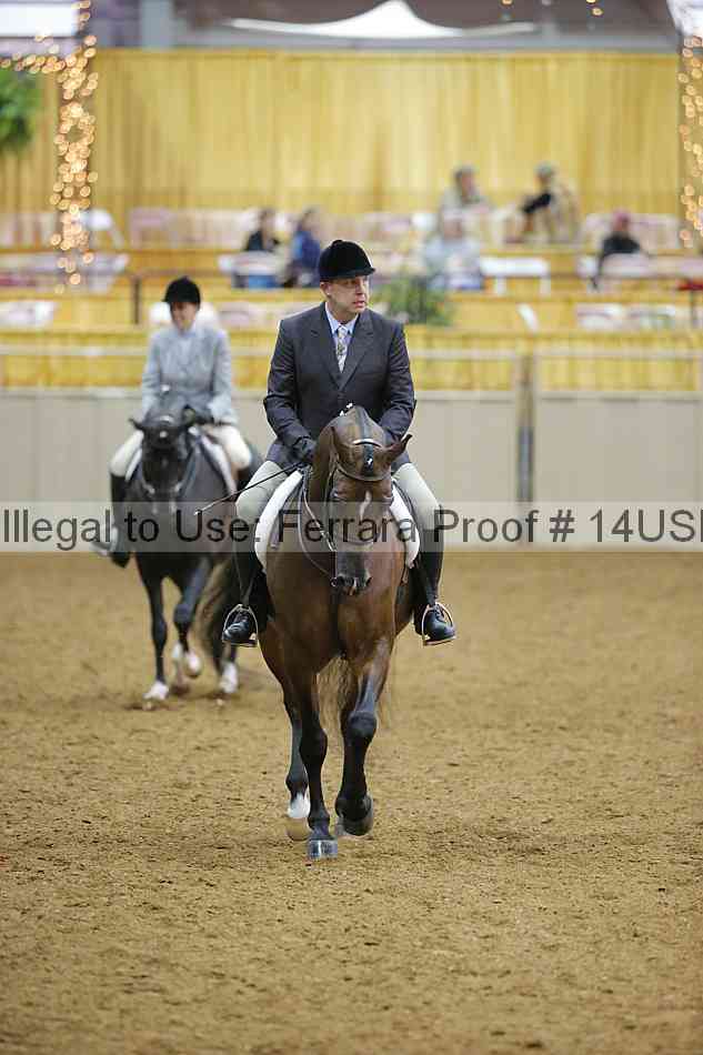 Proof 14usn_05519