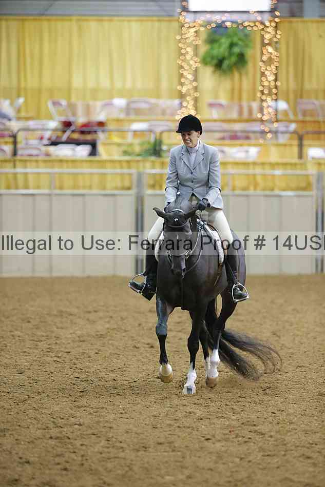 Proof 14usn_05520