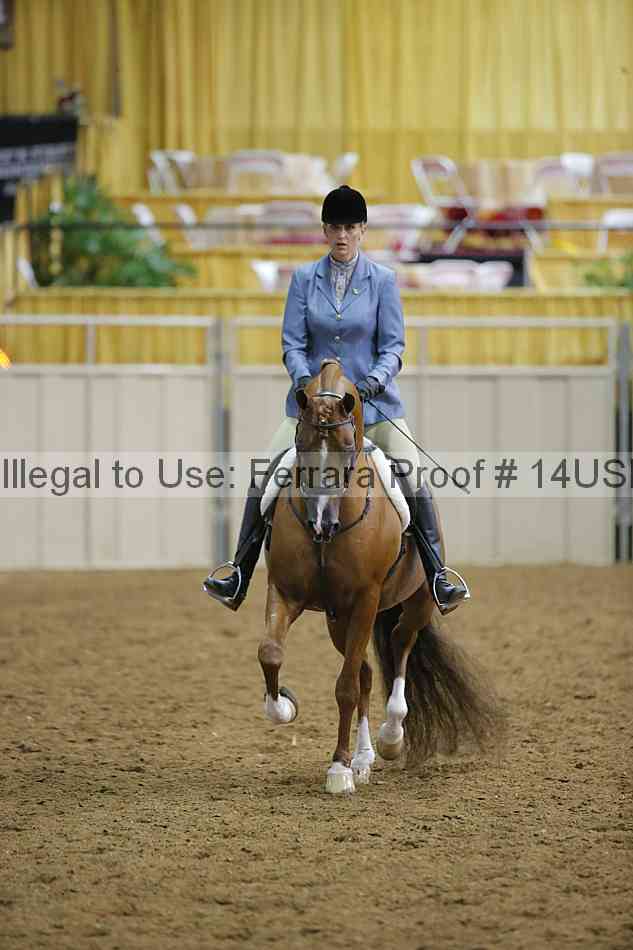 Proof 14usn_05577