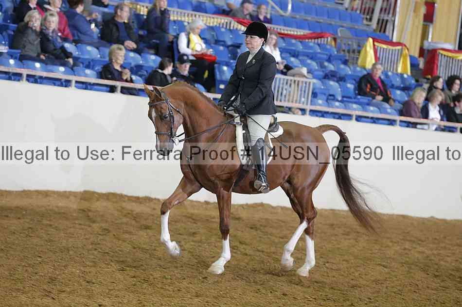 Proof 14usn_05590