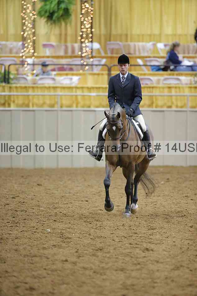 Proof 14usn_05595