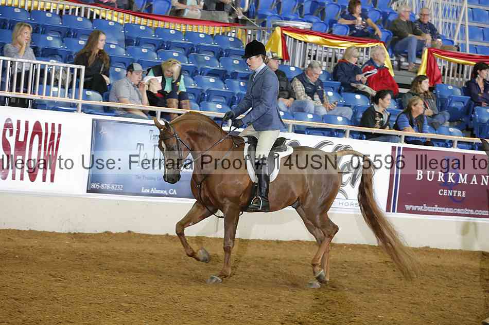Proof 14usn_05596