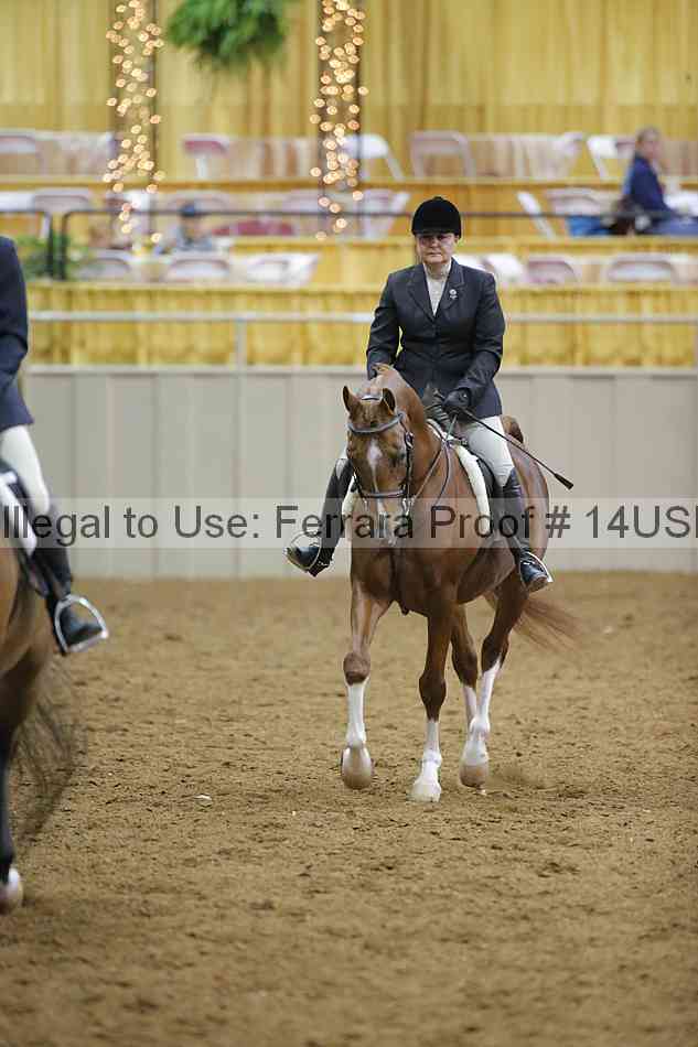 Proof 14usn_05598