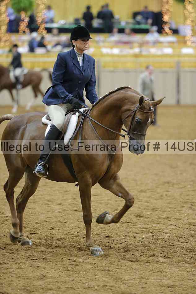 Proof 14usn_05614