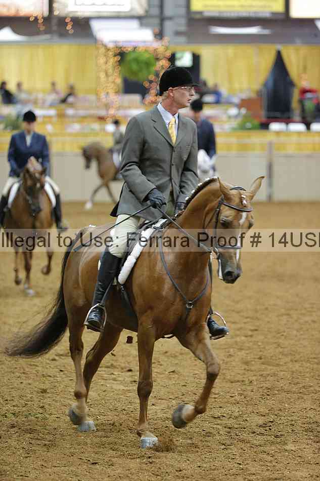 Proof 14usn_05625
