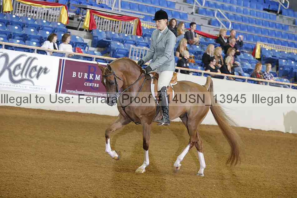 Proof 14usn_13945