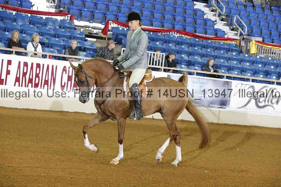 Proof 14usn_13947
