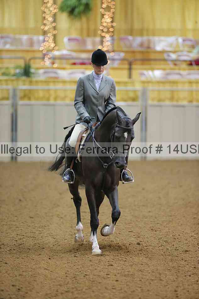 Proof 14usn_13949