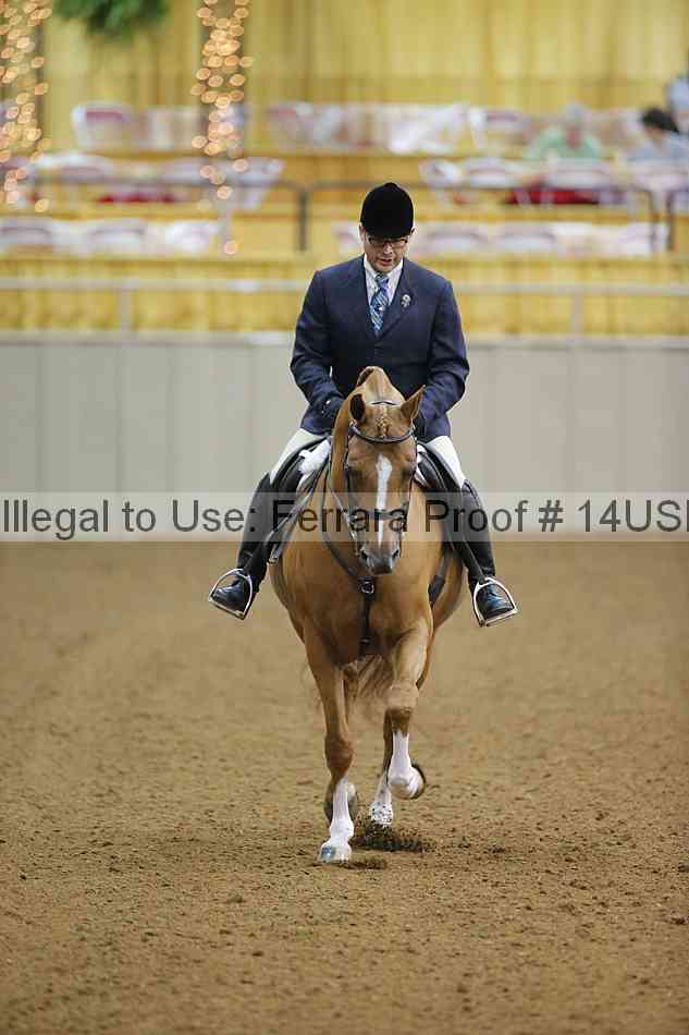 Proof 14usn_13951