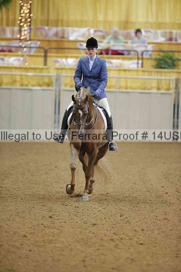 Proof 14usn_13954