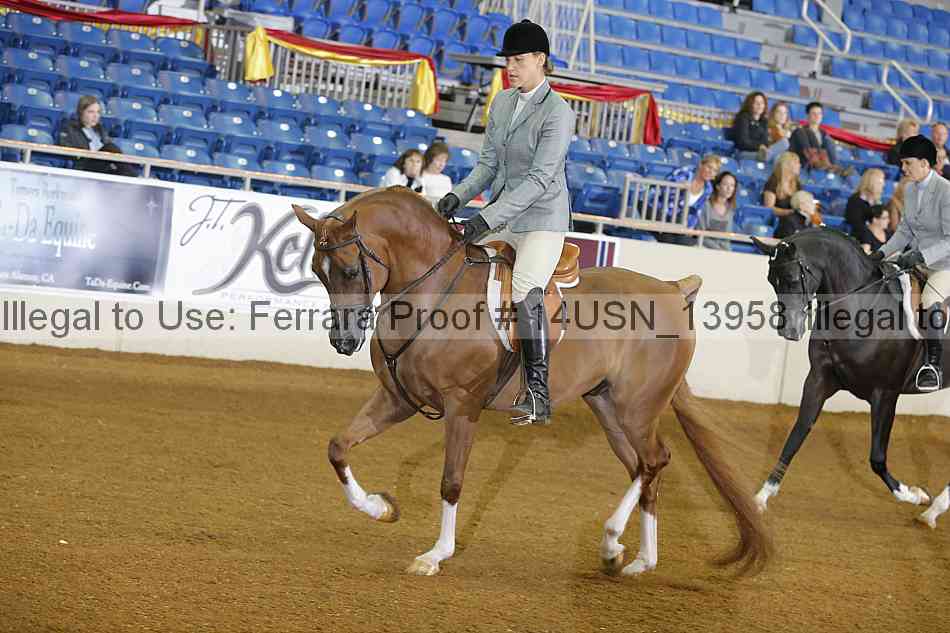 Proof 14usn_13958