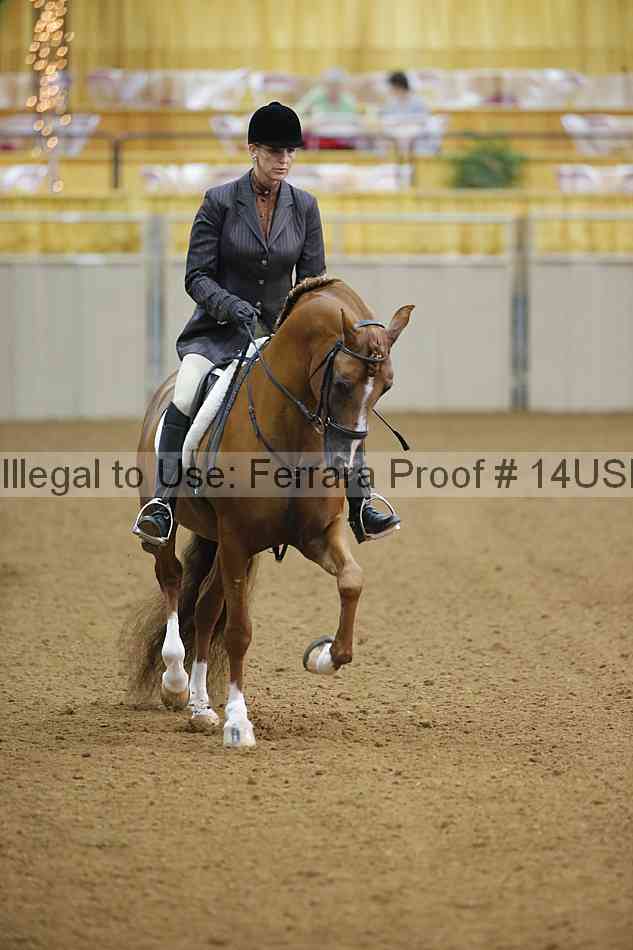 Proof 14usn_13959
